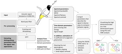 Identification, Analysis and Characterization of Base Units of Bird Vocal Communication: The White Spectacled Bulbul (Pycnonotus xanthopygos) as a Case Study